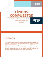 Lipidos Complejos