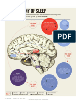 2013-Nature-The Anatomy of Sleep