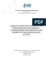 Rééducation Des Tendons Des Fléchisseurs Des Doigts: Comparaison Des Protocoles Passifs Et Des Protocoles Actifs