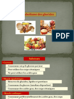 Métabolisme Des Glucides