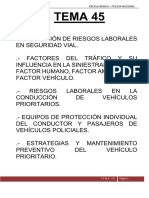 Tema 45: Academia Mega Escala Basica - Policia Nacional