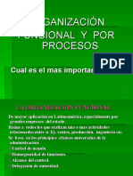 Organización Funcional Y Por Procesos