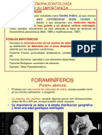 Fósiles Índice para Correlacionar Áreas Locales e Intercontinentales