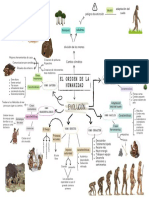 Gráfico Diagrama Cuadro Sinóptico Doodle Ilustrado Multicolor