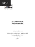 PDF Documento