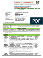 A3 - BIM II - VI Ciclo - 2022 - Carla y Gloria - 06.06.2022 - Tipos de Estampados