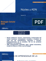 Núcleo y ADN: Biología Celular 2022