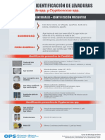 Candida Spp. y Cryptococcus SPP.: Métodos Convencionales - Identificación Presuntiva