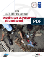 Enquête Sur La Perception de L'Insécurité: Rmes Légères Dans L'Est Du Congo