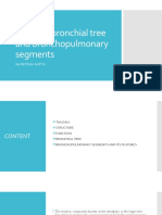 Trachea, Bronchial Tree and Bronchopulmonary Segments: by Nitisha Gupta