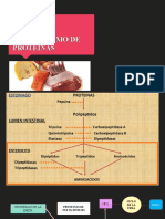 Metabolismo de Proteinas