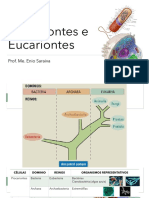 Procariontes e Eucariontes