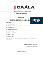 Tema Ii