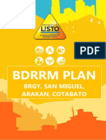 Smac BDRRM Plan 2020-2024