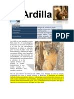 Ardilla