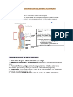 Fisiología Humana-Tema Del Respiratorio 5-7 Logopedia