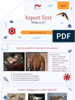 Report Text: - What Is It?