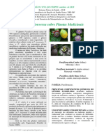 Roda de Conversa Sobre Plantas Medicinais: Maracujá