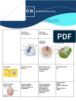 Morfofisiologia, Celula Animal y Vegetal