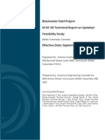 Blackwater Gold Project Feasibility Study NI 43 101 Technical Report