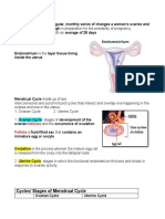 Cycles/ Stages of Menstrual Cycle: Follicles Follicle