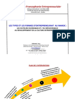 MP Types Dentrepreneuriat Au Maroc