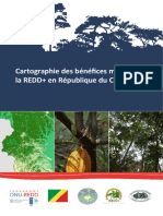 Cartographie Des Bénéfices Multiples de La REDD+ en République Du Congo - Lores