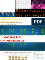 Anomalías Cromosómicas Y Mutaciones: Romina Del Rosario Casas Janampa Dra. Ada Del Carpio Sánz