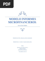 Modelo Informes Microfinancieros.: GA4-ATA10-Taller01