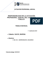 Responsabilidad en La Actuación Profesional Judicial Del Contador Público