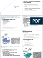 Lecture 9 & 10 - Endomembrane System I & II