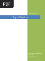 Agua Florida