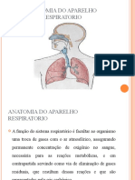 Anatomia Do Aparelho Respiratorio