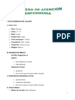 Procesos de Atencion de Enfermeria