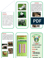 Triptico Clasificacion de Los Animales