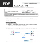 Guia Practica de La Semana 13