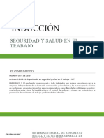 INDUCCION Seguridad y Salud en El Trabajo Diapositivas