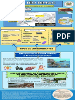 Efectos en La Salud Debido A La Contaminación: Tipos de Contaminantes