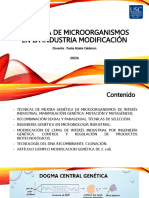 Clase 5 Micro Industrial - Modificación Genética de Microorganismos 2022A