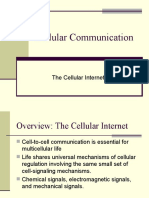 Cellular Communication