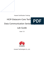 HCIP-Datacom-Core Technology V1.0 Lab Guide