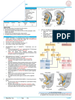 5.01 Urinary System: I. A. B. II. Iii. IV. A. B. C. D. E. V. VI. Vii