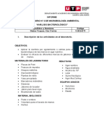 Informe Lab N°2 Microbiologia