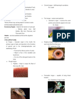 Digestive System