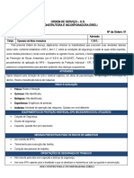 Modelo-de-Ordem-de-Servico-NR-01 - Operador de Motoniveladora