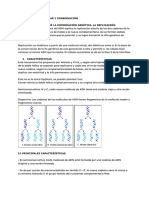 Tema 12: Base Molecular Y Conservación 1. Conservación de La Información Genética. La Replicación