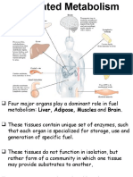 Intergrated Metabolism