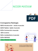 Contracción Muscular