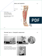 Noi Neurodynamics Handbook Peroneal Nerve