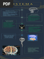 Infografia SNC